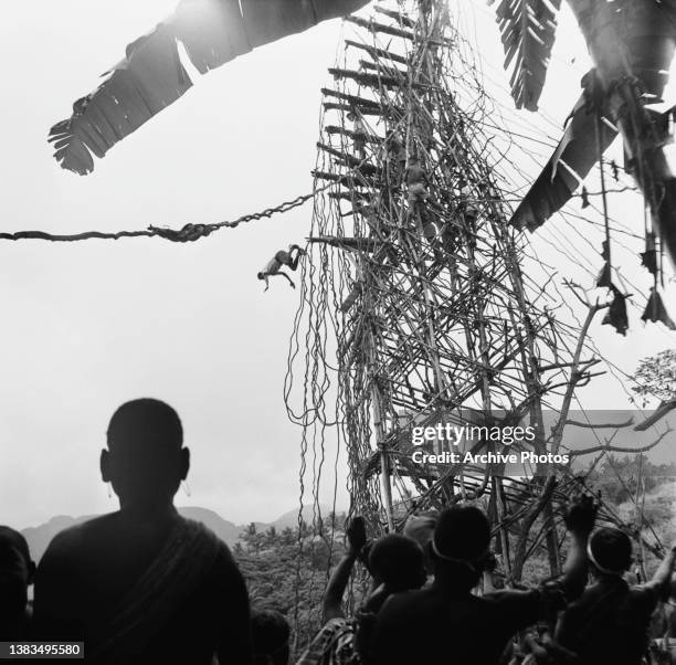 Land diving or 'Nanggol' using vines, an ancient ritual on Pentecost Island in Vanuata, circa 1960. The activity developed into the modern sport of...