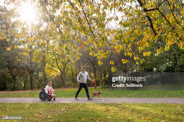 park dog walking with my dad - long shot stock pictures, royalty-free photos & images