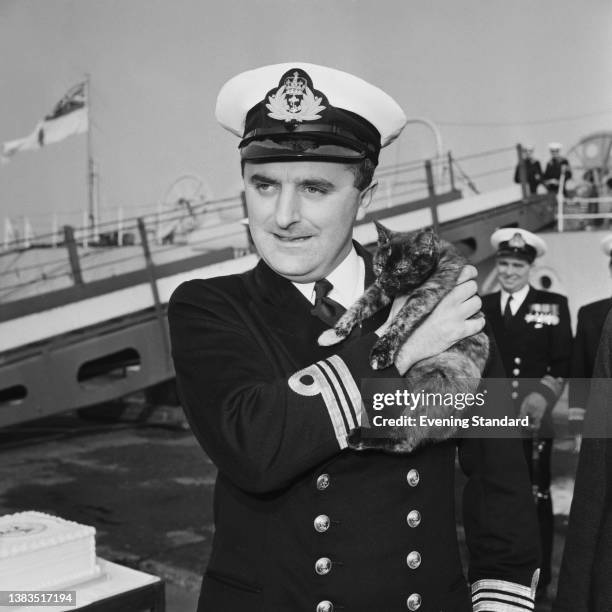 Captain Lieutenant-Commander Alan L. Cawston on board the minesweeper support ship 'HMS Manxman' with a tailless Manx cat named Manx, UK, 23rd...