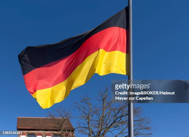 waving german flag, blue sky, nuremberg, middle franconia, bavaria, germany - west germany 個照片及圖片檔