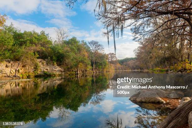 scenic view of lake in forest against sky,new braunfels,texas,united states,usa - texas 500 stockfoto's en -beelden