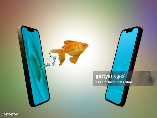 goldfish jumping into smartphone - smart phone 3d stock pictures, royalty-free photos & images