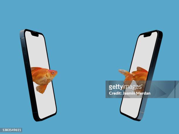 smartphone app goldfish jumping concept - leap of faith activity stock pictures, royalty-free photos & images