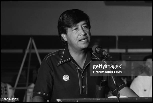 American Labor and Civil Rights leader Cesar Chavez speaks at the University of San Francisco, San Francisco, California, October 1976.