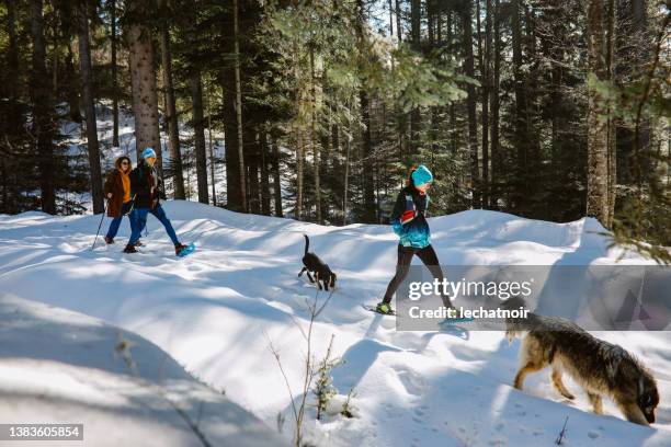 schneeschuhwandern durch den bergwald - schneeschuh stock-fotos und bilder