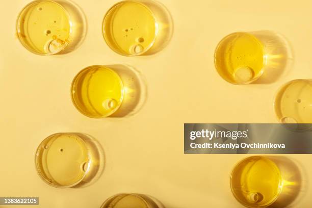 abstract oil circle bubbles in a petri dish top view. laboratory cosmetic or medicine background. - boîte de pétri photos et images de collection