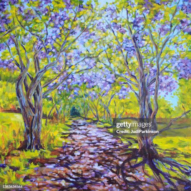 country lane with avenue of flowering jacaranda trees - yellow jacaranda stock illustrations