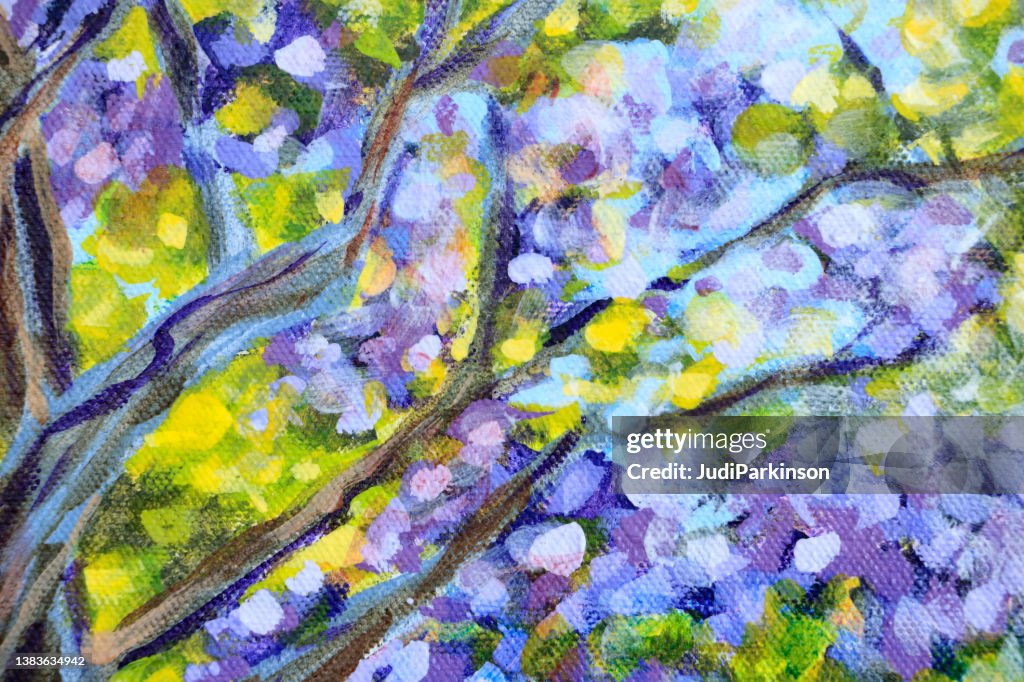 Branches and Flowers of a Jacaranda Tree