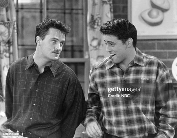 The One Where Old Yeller Dies" Episode 20 -- Air Date -- Pictured: Matthew Perry as Chandler Bing, Matt LeBlanc as Joey Tribbiani