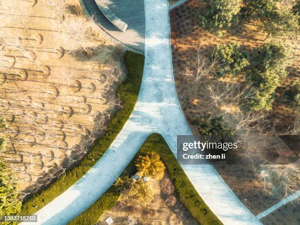 aerial view of walkway in the park - parklücke stock-fotos und bilder