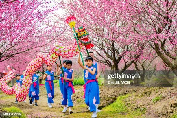 Students perform Baiye dragon dance in a plum forest on March 10, 2022 in Huzhou, Zhejiang Province of China.