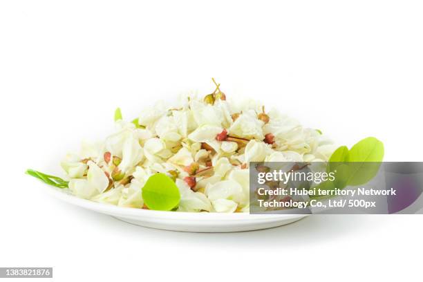 there are fresh sophora japonica flowers in the plate - sophora japonica stock-fotos und bilder