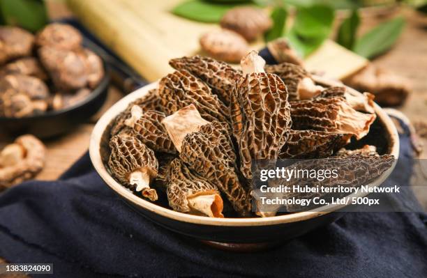 there was a plate of morchella on the wooden bottom - morel mushroom stock-fotos und bilder