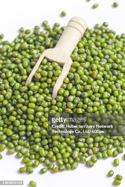 mung beans on a white background - mung bean stock pictures, royalty-free photos & images