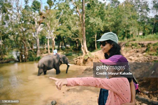 mother and daughter watching an elephant taking bath in a lake at dubare elephant camp, coorg, karnataka - karnataka stock pictures, royalty-free photos & images