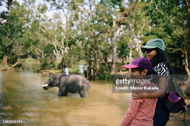 mother and daughter watching an elephant taking bath in a lake at dubare elephant camp, coorg, karnataka - coorg india stock pictures, royalty-free photos & images