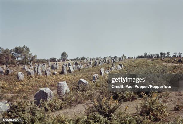 Neolithic granite stone alignments near the village of Carnac beside the Gulf of Morbihan on the south coast of Brittany in north-western France...