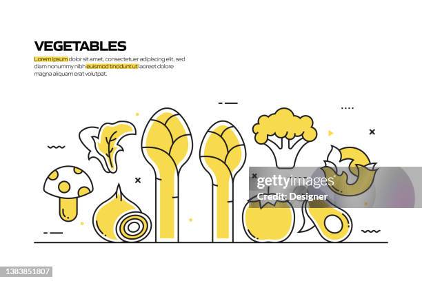 vegetables concept, line style vector illustration - almonds stock illustrations