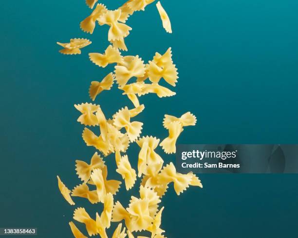 farfalle pasta - carbohidrato fotografías e imágenes de stock