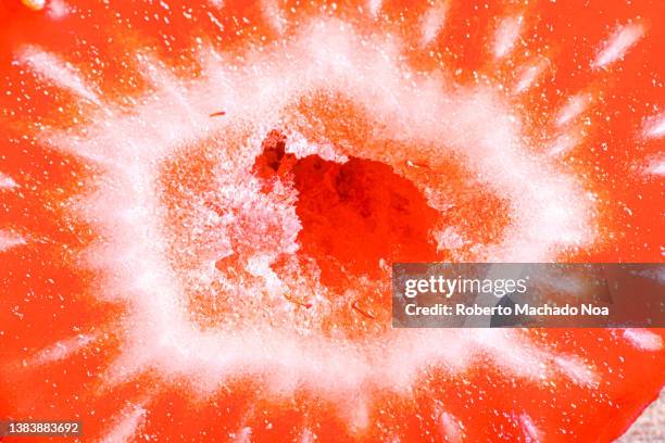 strawberry cross section - apples full frame stock pictures, royalty-free photos & images