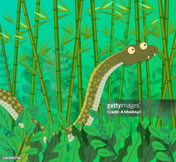 snake - bamboo forest stock illustrations