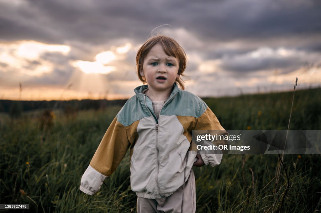 Depaired redheaded boy on a meadow at dusk