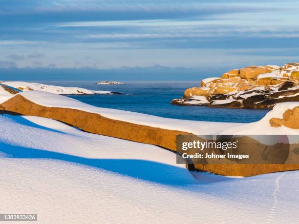 snowy coast and sea in sunlight - sweden winter stock pictures, royalty-free photos & images