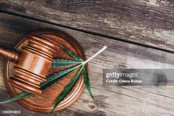 cannabis leaf under gavel on sound block. - medical marijuana law stock pictures, royalty-free photos & images