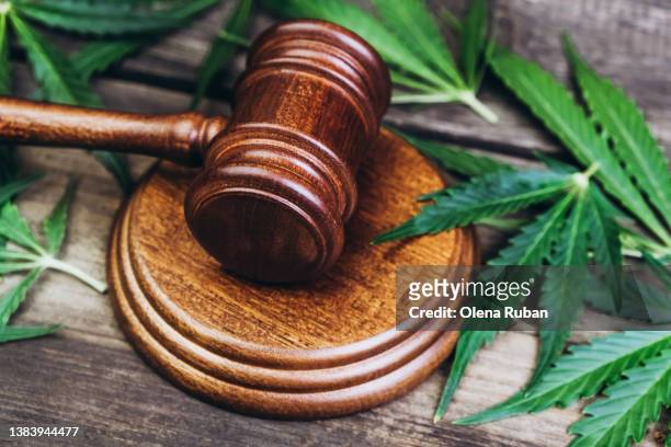 sound block and gavel among cannabis leaves. - legalisering bildbanksfoton och bilder