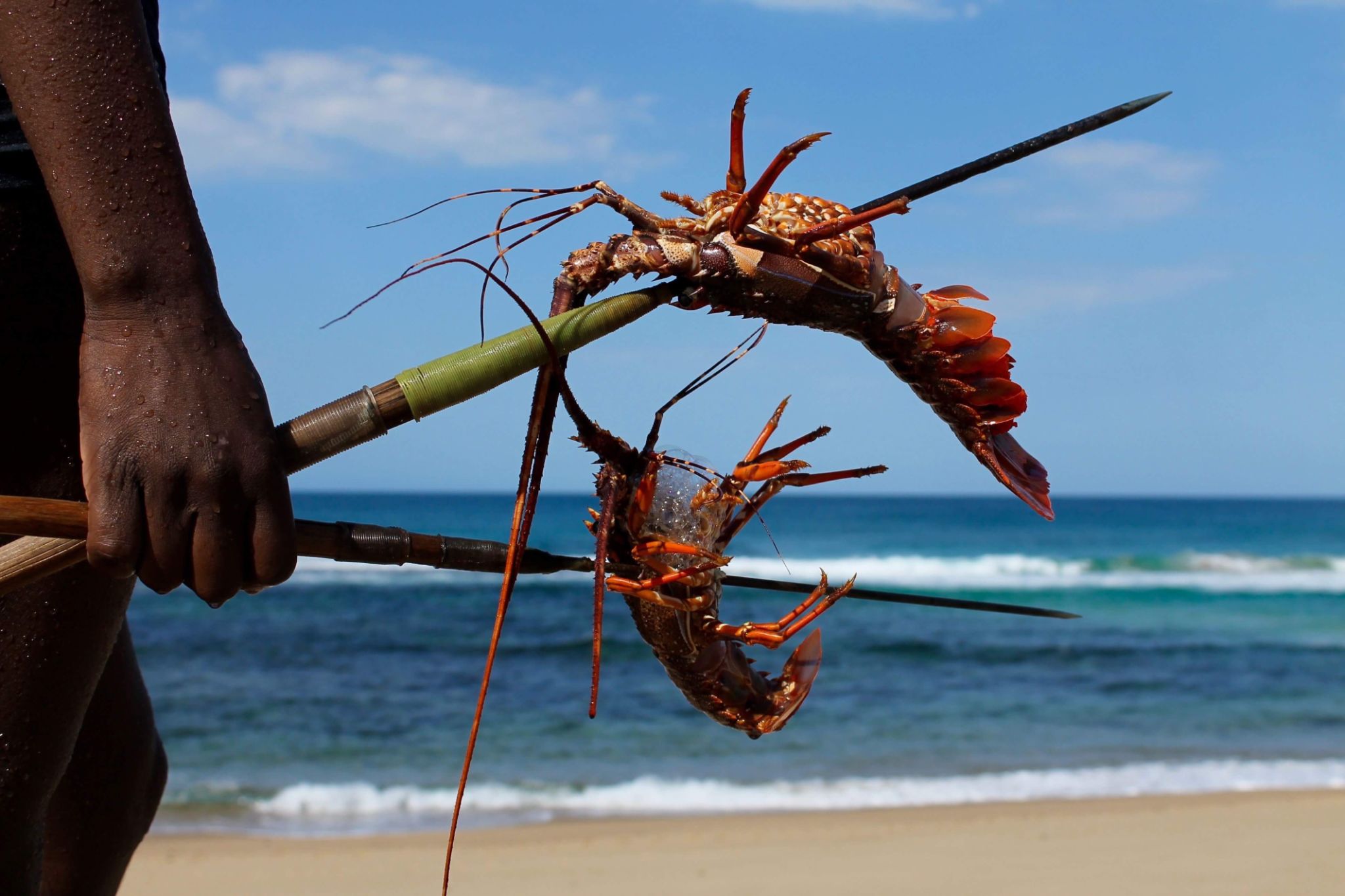 mozambique coast seafood