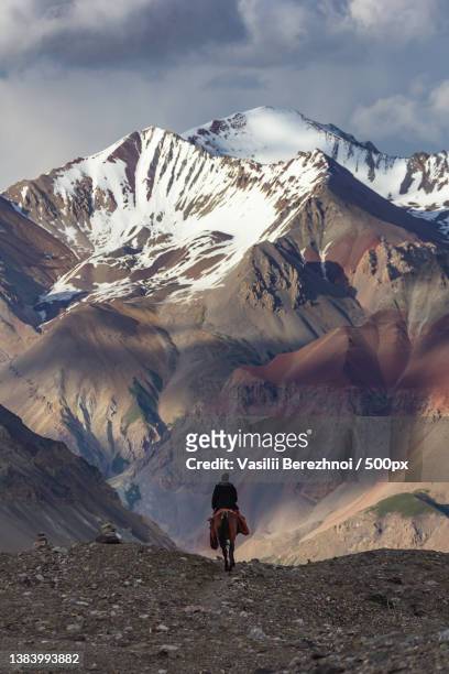 rear view of man standing on snowcapped mountain against sky,kyrgyzstan - 吉爾吉斯 個照片及圖片檔