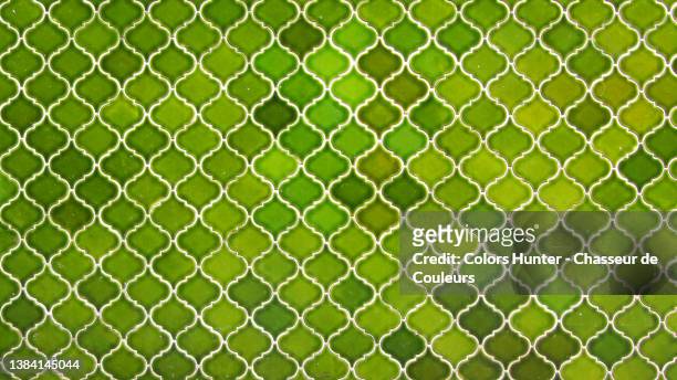 empty and clean green faience arabesque on a wall in paris - arabesque position ストックフォトと画像