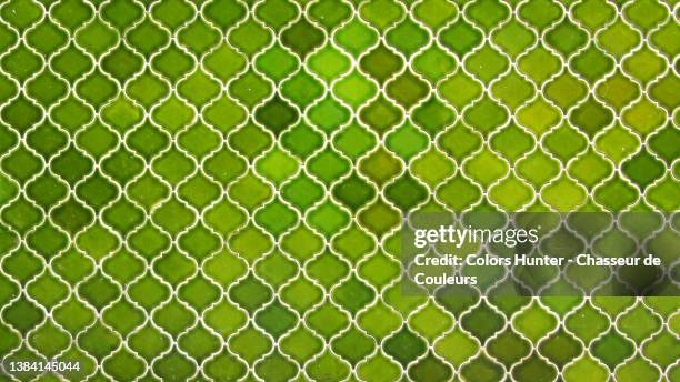 empty and clean green faience arabesque on a wall in paris - tiled floor stock pictures, royalty-free photos & images