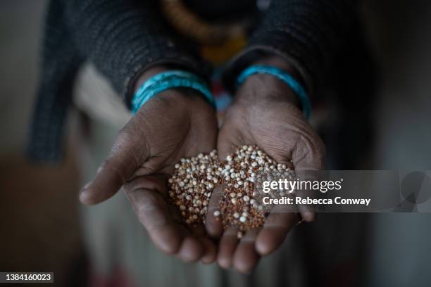 Dhulki B.K is photographed holding junelo, a locally-grown grain ground into flour and used to make bread, in Muktikot village in the district of...