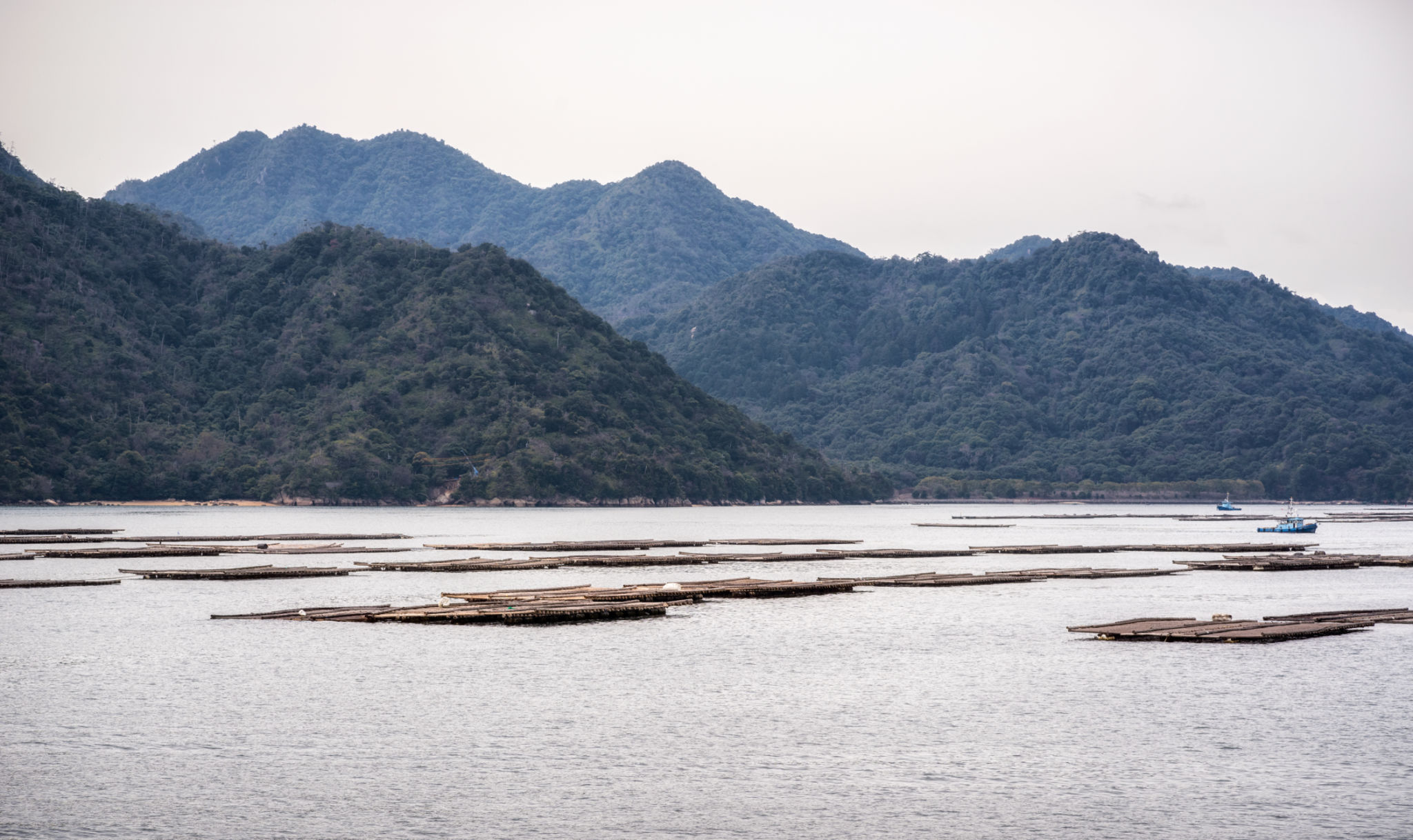 japan fishing spot