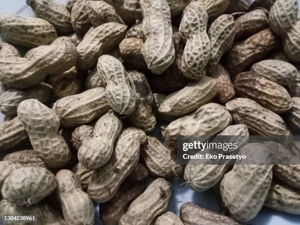 Peanuts Before Ripe Peanuts Characters Images Photos and Premium High Res Pictures - Getty ...