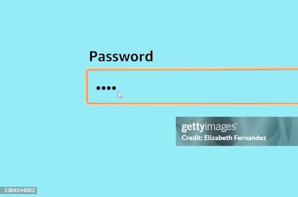 password icon - log on ストックフォトと画像