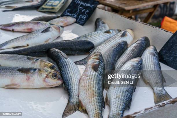 fish on the fish market in marseille old port - frankreich essen stock-fotos und bilder