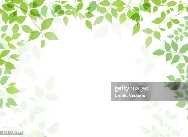 green leaf on a white background - leaf landscape green stock illustrations