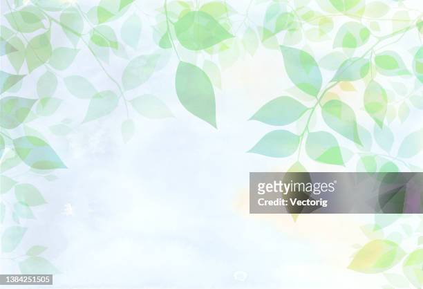 グリーンリーフ白背景  - lush foliage点のイラスト素材／クリップアート素材／マンガ素材／アイコン素材