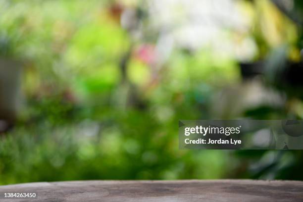 green bokeh on wood out of focus background - table garden bildbanksfoton och bilder