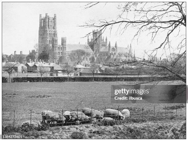 ilustrações de stock, clip art, desenhos animados e ícones de antique travel photographs of england: ely cathedral - ely