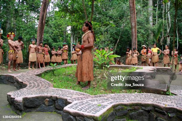 pataxos indians in south bahia - anthropology stock pictures, royalty-free photos & images