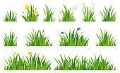 Collection natural green grass with flowers horizontal background vector flat illustration