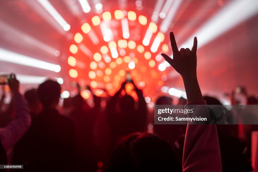 Cheering audience at music concert