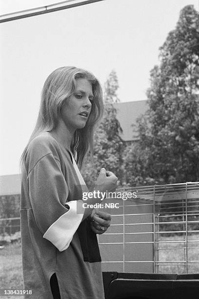 The Bionic Dog" Episode 1 & 2 -- Aired 9/10/77, 9/17/77 -- Pictured: Lindsay Wagner as Jamie Sommers
