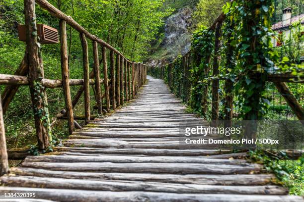 walkway at the grotte del caglieron,fregona,veneto,italy - fregona stock pictures, royalty-free photos & images
