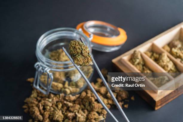 professional using tweezers to put marijuana flower buds in a mason jar - medical marijuana law stock pictures, royalty-free photos & images