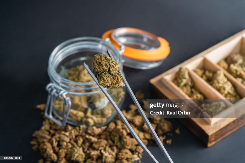 Professional using tweezers to put marijuana flower buds in a mason jar
