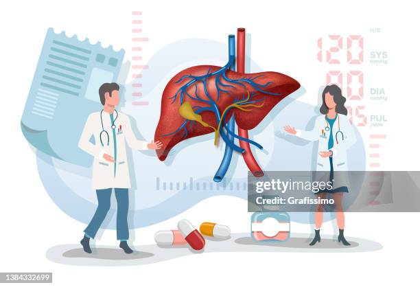 illustrazioni stock, clip art, cartoni animati e icone di tendenza di illustrazione vettoriale piatta due medici che parlano di fegato - human liver